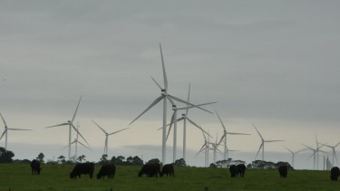 Award-winning sheep farmers sue AGL over wind farm construction – The Age