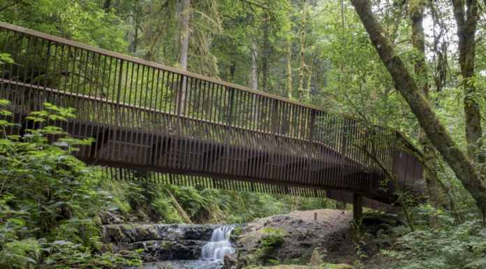 Big design, small budget: These are the best small projects for 2019