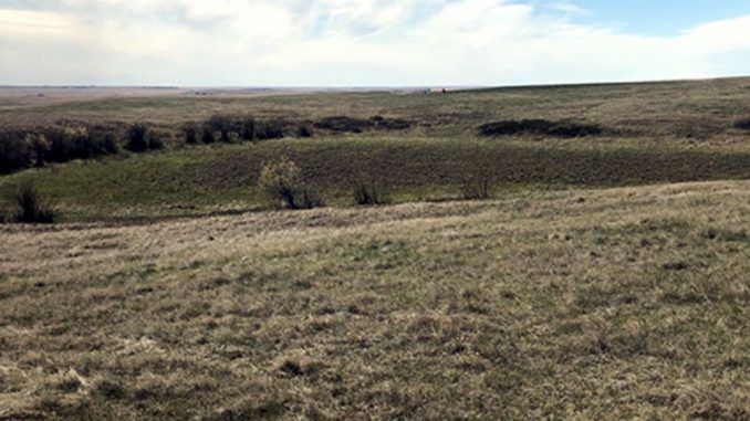 Saskatchewan farmers force rural municipality to stop construction where First Nation artifacts found – National Indigenous Times