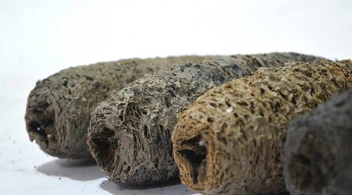 shreyas more develops biodegradable construction bricks made of charcoal and loofah – Designboom