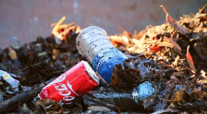 This simple Aussie pollution solution is taking the world by storm