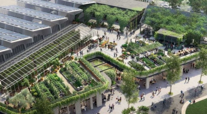 The architects who want action on climate change