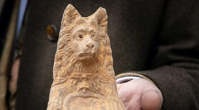 Construction in Rome Reveals Well-Preserved, 2000-Year-Old Dog Statue – Smithsonian