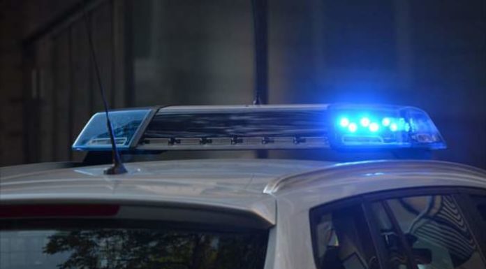 Michigan worker dies after trusses fall on him at construction site – WDIV ClickOnDetroit